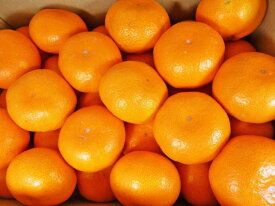 ZD6395_【2026年先行予約】【秀品】 和歌山 有田みかん 6kg（3Lサイズ・秀品）