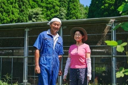 本間農園の無添加あんプリン5個セット 【スイーツ 平飼い 無添加 有精卵 ミルン牧場 牛乳 プリン県 プリンマップ】(H073114)