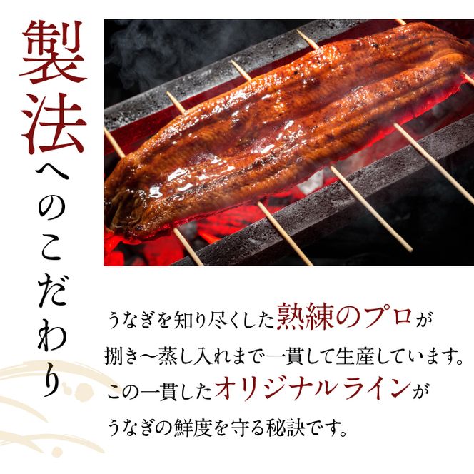 やわらか国内産うなぎ蒲焼満足サイズ！120～140g 3尾　計360g以上|うなぎ 鰻 蒲焼 満足 茨城県 行方市(AD-84-1)