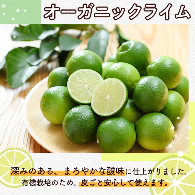 数量限定！有機JAS オーガニックライム(計2kg) 国産 果実 果物 フルーツ 柑橘 デザート 期間限定 有機栽培 健康志向【中村農場】akn084-06