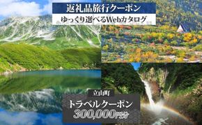富山県 立山町 旅行クーポン 300,000 円分 キャンプ 体験 登山 観光 旅行 ホテル 旅館 老舗 高級 トラベル チケット 家族 カップル 宿泊 予約 おすすめ 父の日 母の日 旅行券 宿泊券 F6T-965