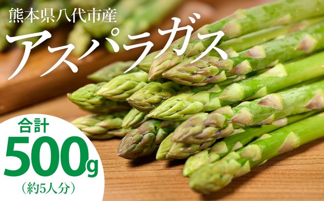 yF{szys\z F{ sY AXpKX 500g VN AXp  ₳ { y2026N4{菇z