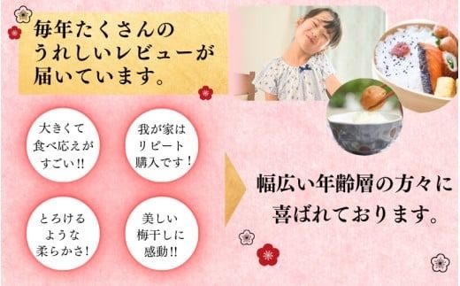 最高級紀州南高梅・大粒しそ風味梅干し 1kg【ご家庭用】 / 梅干 梅干し 梅 うめ しそ 南高梅 家庭用【inm210B】