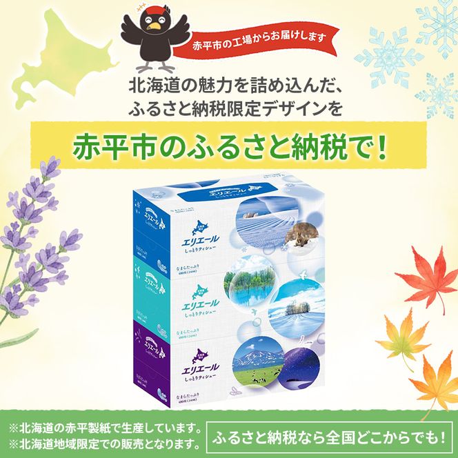 定期便 3ヵ月連続お届け エリエール ハーフサイズ 収納に便利 コンパクト 【少量5パック】 北海道 しっとりティシュー なまらたっぷり 240組3箱 5パック 計15箱 ボックスティシュー ふるさと納税限定デザイン