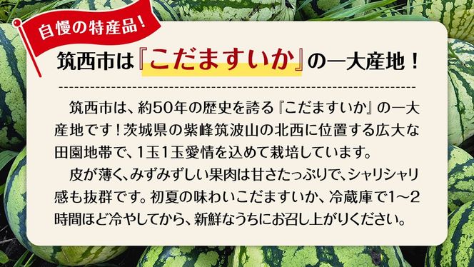 【 JA北つくば 】 こだますいか 「 スウィートキッズ 」 4～5玉 2026年産 スイカ 果物 フルーツ [AE006ci]