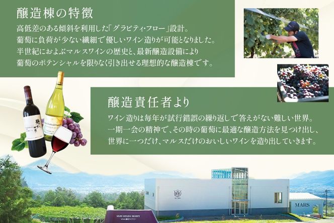 定期便 ワイン ソムリエ おまかせ 2本セット×4回 [マルス穂坂ワイナリー 山梨県 韮崎市 20743306]