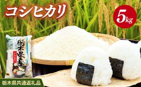 米 コシヒカリ 5kg 栃木県産【栃木県共通返礼品】