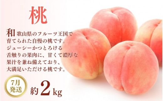 【3か月定期便】和歌山産フルーツ定期便！人気の桃・梨・ピオーネ　旬のフルーツを毎月お届け♪【tkb114】