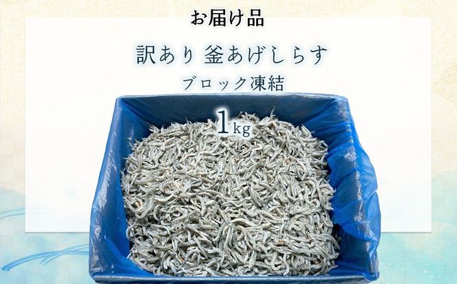 訳あり釜あげしらす IKTB016 
