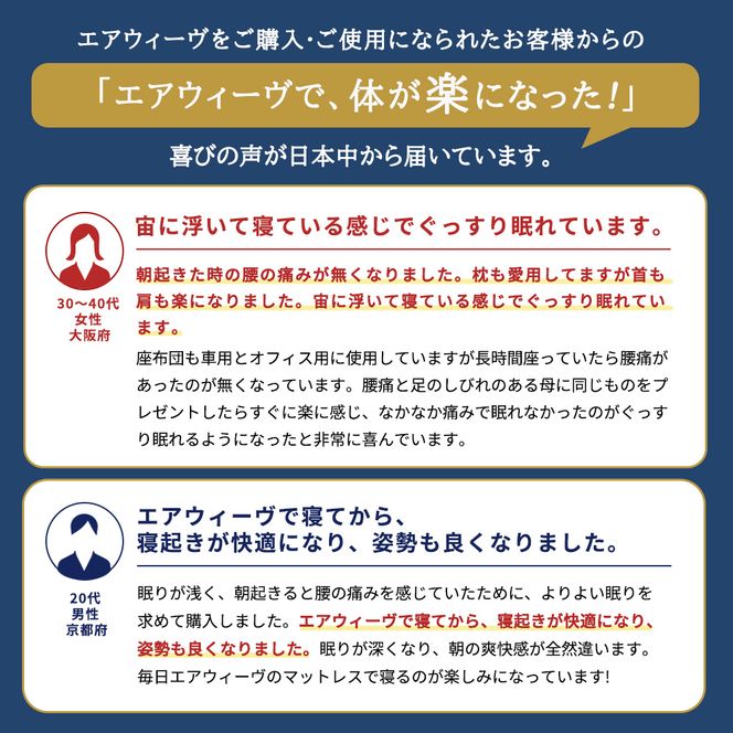 エアウィーヴ マットレストッパー1.0 ダブル マットレスパット マットレス コンパクト オールシーズン対応 ぐっすり ホテル 安眠 快眠 健康 高反発 高品質 腰 肩 熟睡 寝心地 新生活 洗える 洗濯可 送料無料 体圧分散