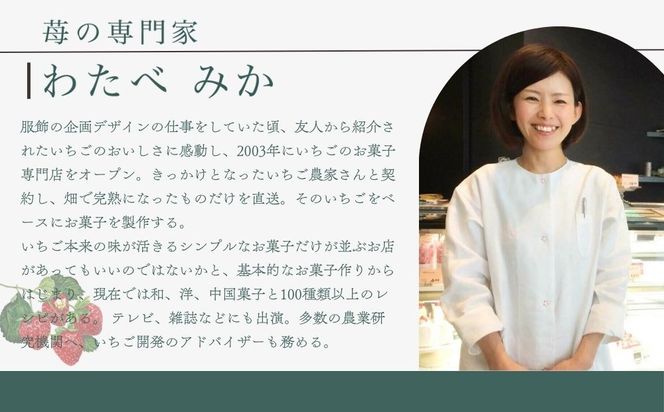 【MAISON DE FROUGE】季節の自家製いちごジャム 2種・各100g｜人気いちごスイーツ [ 苺スイーツ専門店 苺と砂糖のみで作られたジャム 果肉ごろごろ あまおう さちのか 紅ほっぺ おいCベリー おすすめ 手作りジャム ギフト プレゼント お取り寄せ 通販 送料無料 ふるさと納税 ] 261009_B-VV04