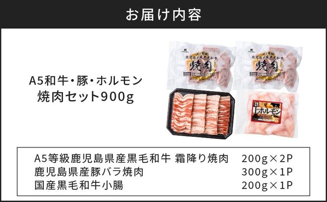 【A5和牛・豚・ホルモン】焼肉セット900g　K002-055
