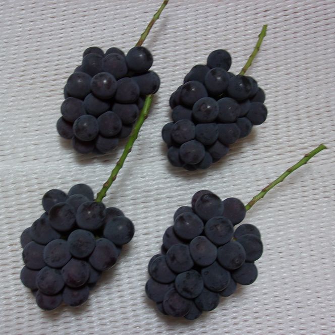 ぶどう 先行予約 訳あり ピオーネ 約2kg(3～5房) ブドウ 葡萄 岡山県産 国産 フルーツ 果物