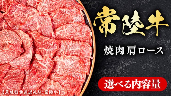 常陸牛 【和牛セレブ】 選べる内容量 焼肉 肩ロース (茨城県共通返礼品） 【2027年1月発送開始】 霜降り 国産 ブランド牛 冷凍 焼肉 ステーキ 肩ロース 和牛 ギフト ご褒美 記念日 [FK011us00]