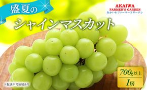 ぶどう 2026年 先行予約 シャインマスカット 700g以上 1房 盛夏 葡萄 岡山県 赤磐市産 フルーツ 果物 あかいわファーマーズガーデン 果物類