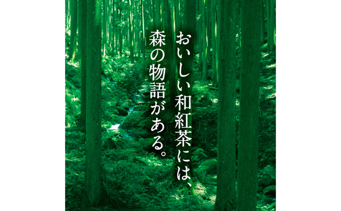 森からの和紅茶　はじまり5セット（15袋入）〈紅茶 お茶 茶 茶葉 和紅茶ティーバッグ 飲料〉
