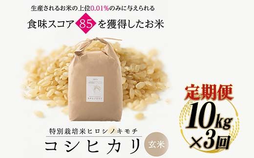 【3回定期】特別栽培米 コシヒカリ ヒロシノキモチ 玄米 10kg 総計30kg 陽咲玲 米 お米 コメ ご飯 ごはん 富山県産 富山県 立山町 F6T-1005