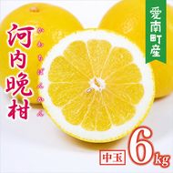 【先行予約】 数量限定  河内晩柑 樹齢 30年以上 中玉 6kg （ L ・ 2Lサイズ ） 8000円 みかん mikan 蜜柑 ミカン かわちばんかん 愛南ゴールド あいなん ゴールド 文旦 派生 和製 グレープフルーツ 産地直送 国産 農家直送 期間限定 特産品 ゼリー ジュース アイス 等に 人気 限定 甘い さわやか フルーツ 果物 柑橘 蜜柑 みかんの山祥 愛南町 愛媛県