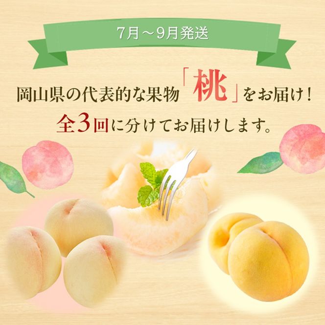 桃 定期便 2026年 先行予約 岡山 の 桃 食べ比べ 3回コース もも モモ 岡山県産 国産 フルーツ 果物 ギフト 食べ物 食品 デザート 食後 果汁 きめ細やか やわらかい 岡山の果物 
