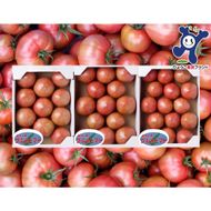 三谷さんの淡路島グルメトマト3kg