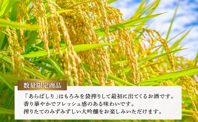 松乃井大吟醸　あらばしり 720ml　日本酒 酒 お酒 お取り寄せ 贈り物 ギフト 新潟県 十日町市