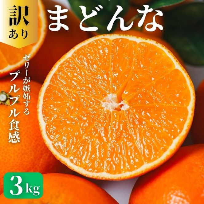 訳あり まどんな 3kg 訳あり まどんな 愛果28号 柑橘 かんきつ フルーツ 果物 旬 みかん ミカン 国産 ギフト 贈答用 お取り寄せ 通販 訳あり品 サイズ不揃い お徳用 家庭用 おやつ スイーツ ジューシー 甘い みずみずしい ゼリー 食感 さわやか 甘味 酸味 高品質 新鮮 期間限定 旬の味覚 贈り物 プレゼント 内祝い お祝い 薄皮 愛媛県 愛南町青果市場