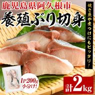 養殖ぶり切身(約2kg) 鹿児島県 阿久根市 ブリ ぶり 鰤 魚貝 魚介 海産物 切身 切り身 煮物 煮つけ 焼き魚 おかず おつまみ 小分け【さるがく水産】akn028-45