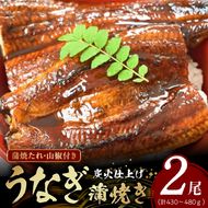 うなぎ蒲焼き2尾入(合計430～480g) 蒲焼たれ4袋（山椒付き）_AZ6024