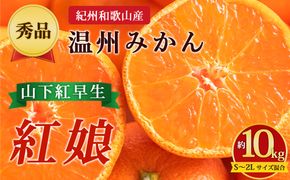 【先行予約】【秀品】紀州和歌山産 温州みかん 山下紅早生「紅娘」約10kg（箱込み）S～2L サイズ混合
