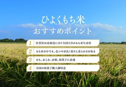 令和6年産 佐賀県産ひよくもち米5kg 【もち米 餅米 ヒヨクモチ 5kg 年末 餅つき 赤飯 おこわ おはぎ】(H015187)