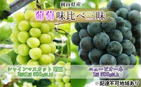 ぶどう 2026年 先行予約 葡萄 味比べ三昧 シャイン マスカット 晴王 2房（1房 580g以上）ニュー ピオーネ  1房 580g以上（露地栽培）詰合せ ブドウ 葡萄  岡山県産 国産 フルーツ 果物 ギフト 