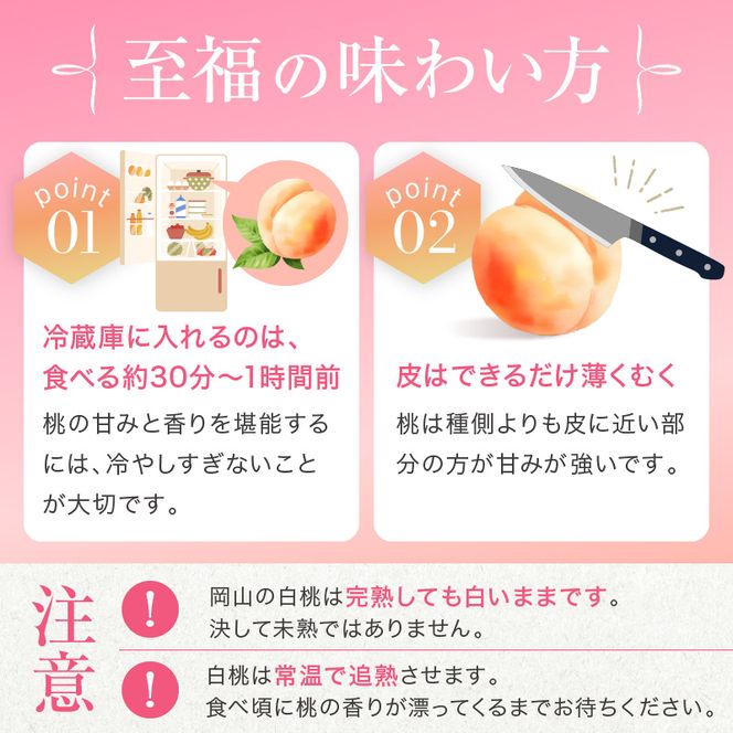 桃 2026年 先行予約 赤磐の 白桃 約2.0kg 6～8玉 JA晴れの国 糖度センサー選果 もも モモ 岡山県 赤磐市産 国産 フルーツ 果物 ギフト デザート 果肉 