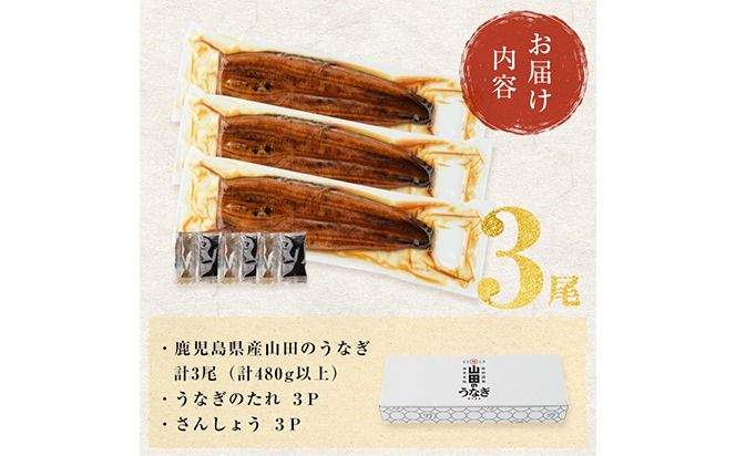 【無薬養鰻】 鹿児島産 山田のうなぎ ＜計480g以上＞（160g以上×3尾） a6-062