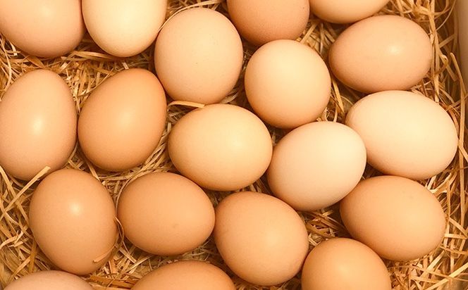 土佐ジロー卵の米粉フィナンシェ（１０個）