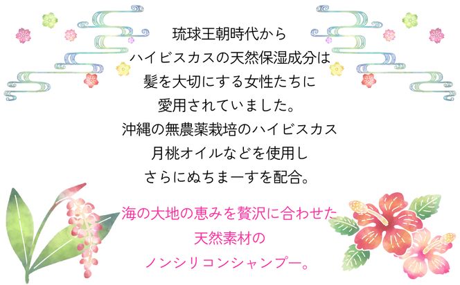 塩とハイビスカスのシャンプー「ぬち髪」×12本（1年分）　ハイビスカス　ノンシリコン　ノンシリコンシャンプー　シャンプー　ぬちまーす　ヒアルロン酸　植物性ヒアルロン酸　うるおい　潤い　ハリ　コシ　塩　パラベンフリー　月桃　艶　ティーツリー