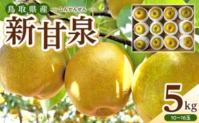 1121．【2026年度発送先行予約】数量限定　新甘泉　5kg 313726_CS001
