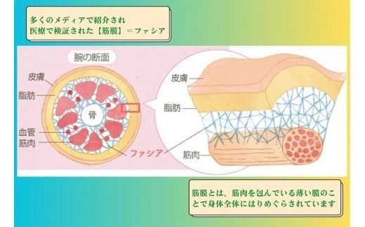 B069 【女性限定】全身８０分/筋膜リリースマッサージ/筋膜リリース認定サロン