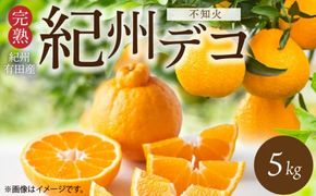 G7361_【2027年先行予約】期間限定 紀州デコ 約 5kg 完熟 紀州 有田産 色 形 味 香り 一級品 プリプリ 果肉 まろやか 甘さ ほどよい 酸味 ジューシー 旨味 不知火 人気品種 柑橘の王様 柑橘 果実 国産 食品 産地直送 お取り寄せ 和歌山県 湯浅町 送料無料