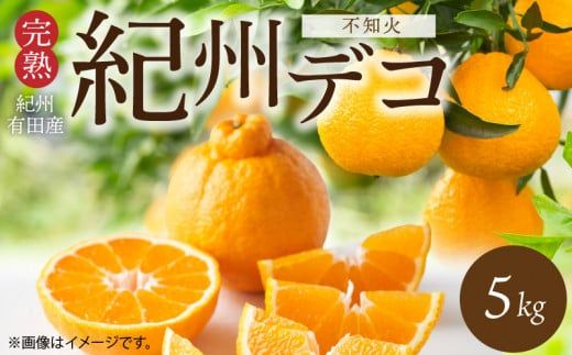 G7361_【2027年先行予約】期間限定 紀州デコ 約 5kg 完熟 紀州 有田産 色 形 味 香り 一級品 プリプリ 果肉 まろやか 甘さ ほどよい 酸味 ジューシー 旨味 不知火 人気品種 柑橘の王様 柑橘 果実 国産 食品 産地直送 お取り寄せ 和歌山県 湯浅町 送料無料