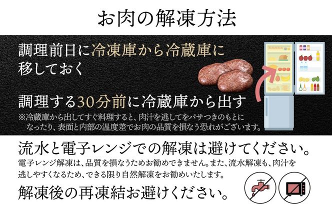 北海道産 白老豚 ハンバーグ 120ｇ×10個セット BV083