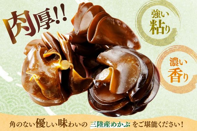 海藻 とんとん めかぶ 湯通し ぎばさ 各1本 セット [南三陸さんさんマルシェ 宮城県 南三陸町 m304amh600080] 冷凍 国産 メカブ あかもく アカモク