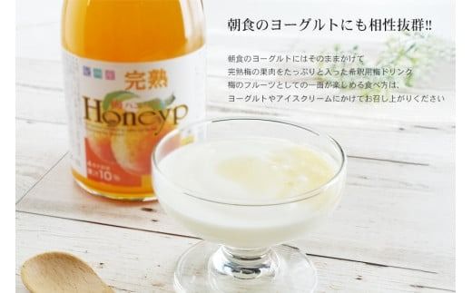 希釈用梅ドリンク 梅ハニップ 完熟梅ハニップ 各3本セット【prm022A】