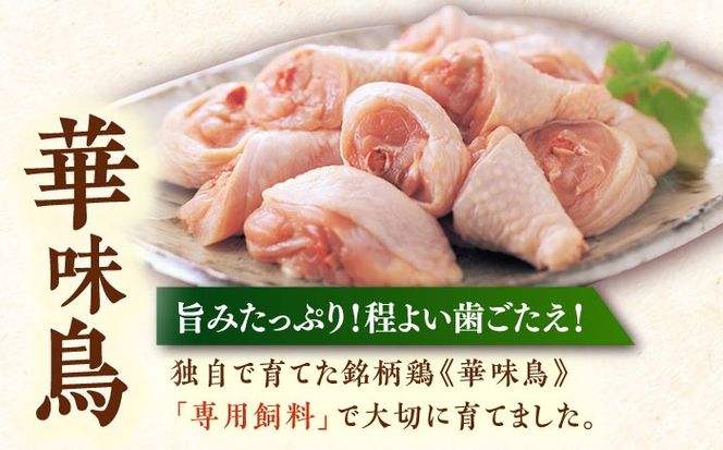 博多華味鳥 水炊き セット 3~4人前 ぽん酢付き《築上町》【トリゼンフーズ】博多 福岡 鍋 鶏 水たき みずたき[ABCN029]