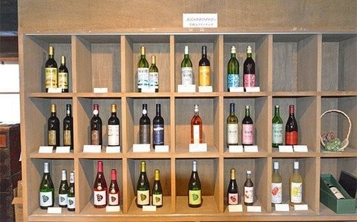 FYN6-234 【月山トラヤワイナリー】月山山麓 赤 720ml 赤ワイン 山形県 西川町