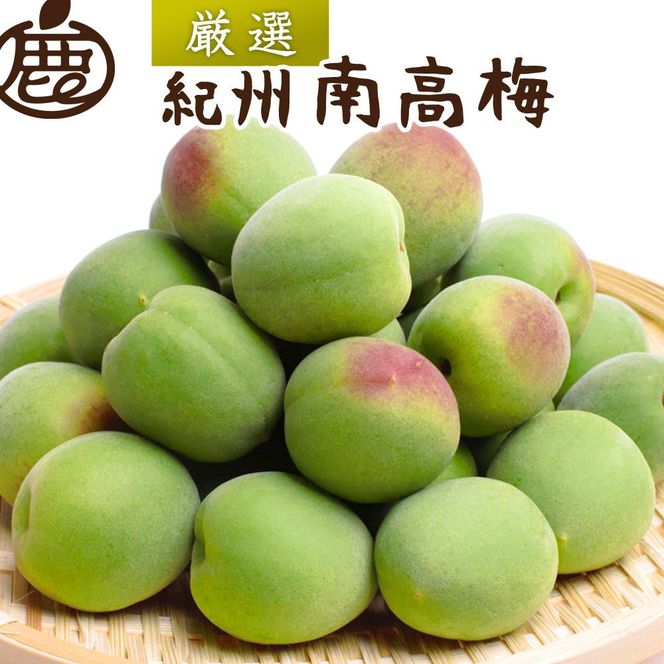厳選 紀州南高梅(青梅)5kg+250g（傷み補償分）【梅干し・梅酒・梅ジュース】［IKE77］ 303446_BB90155