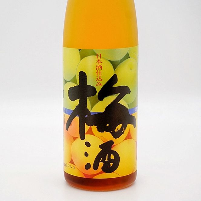 日本酒 仕込み 梅酒 月の井 500ml 大洗 地酒 国産梅 低糖