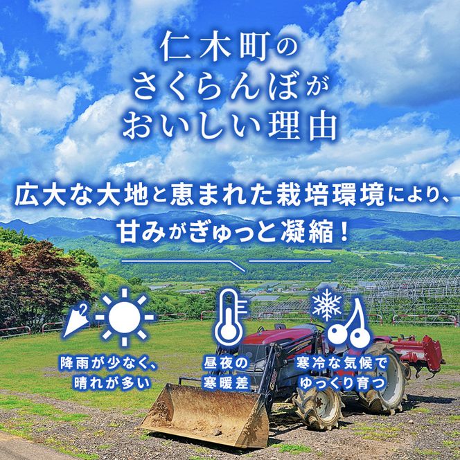先行受付 北海道 仁木町産 さくらんぼ 南陽 360g （180g×2パック）  Lサイズ以上 旬 桜桃 産地直送 サクランボ チェリー フルーツ 果物 果物類  仁木町 仁木 [松山商店]