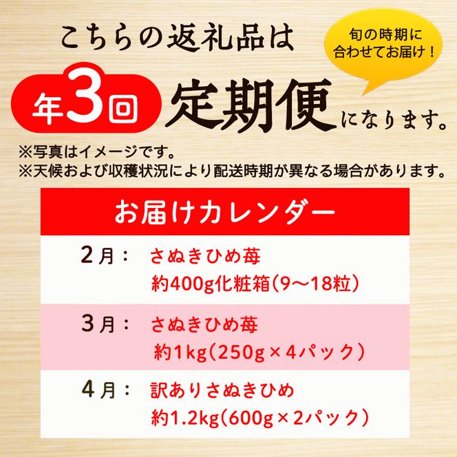 讃岐のいちご定期便（全3回）【さぬきひめ】