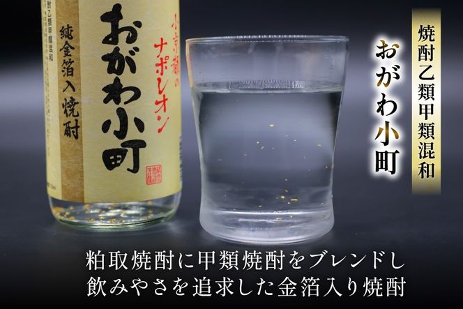 晴雲 武州おがわの焼酎セット [晴雲酒造 埼玉県 小川町 369] お