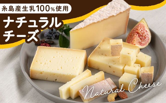 【全3回定期便】 糸島産 生乳 100％ 使用 手作り 熟成 チーズ 5種 食べ比べ セット 糸島市 / 糸島ナチュラルチーズ製造所TAK-タック-[AYC005]